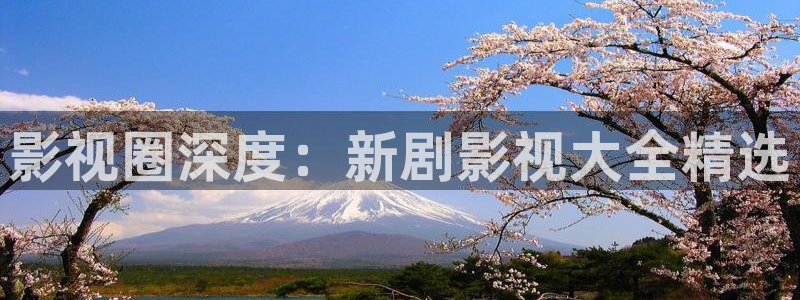 策驰影院观看策驰影院2024