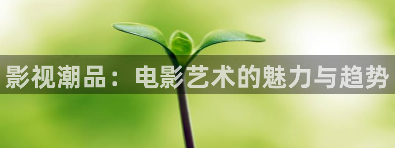 策驰影院归路免费播放