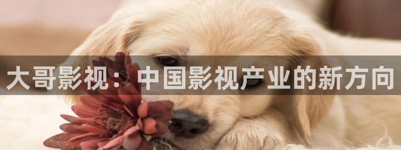 暴风眼在线观看免费策驰影院
