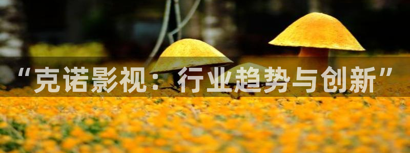 策驰影院2025年最新电影电视剧