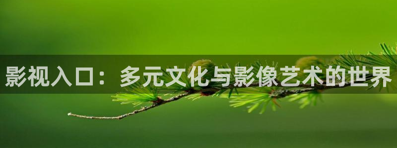 疯狂动物城策驰影院