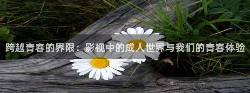 唐朝诡事录之西行策驰影院在线观看