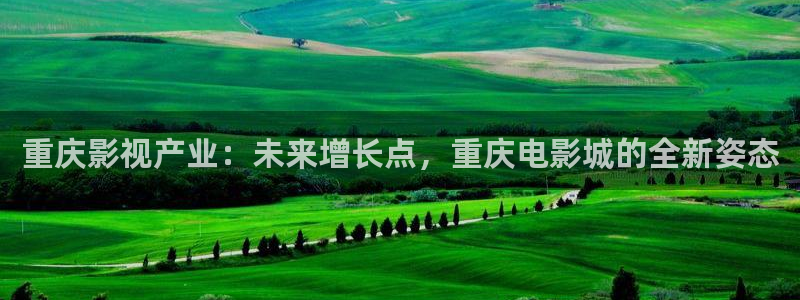 策驰影视免费