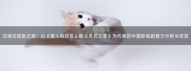 驻站电视剧免费观看策驰影院