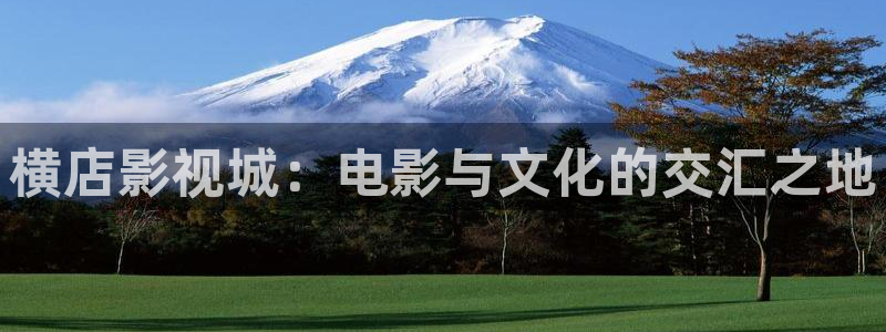 策驰影院2024