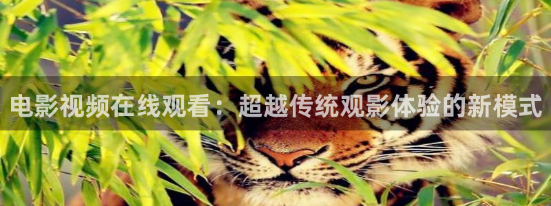 难哄电视剧全集在线观看策驰影院