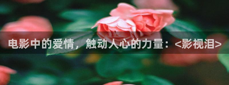 我是你媳妇免费观看策驰影院