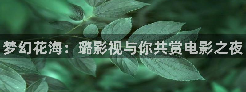似锦电视剧免费观看完整版高清策驰影院